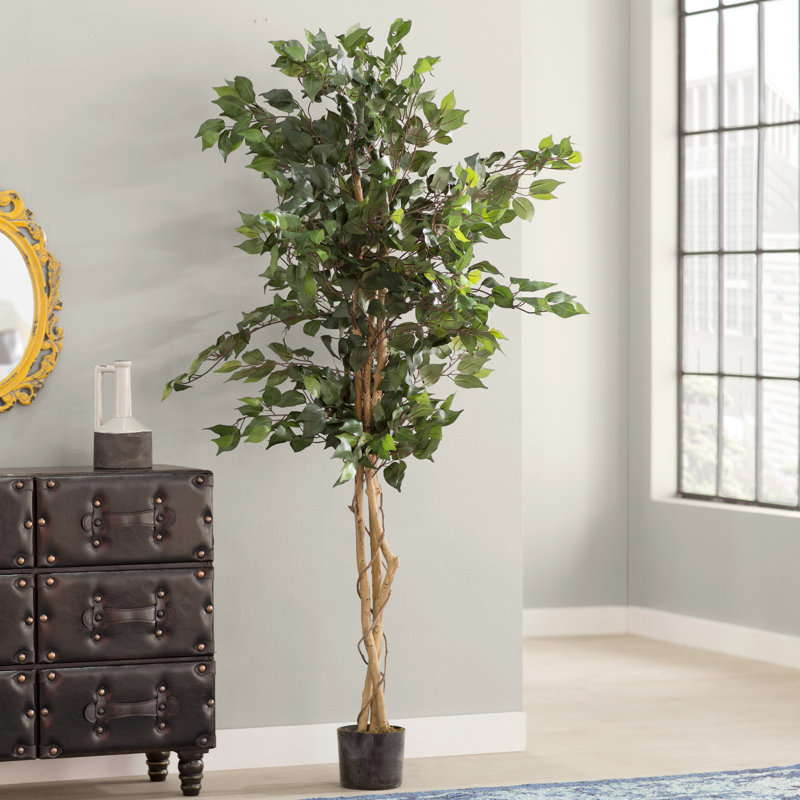 Trent Austin Design Ficus Silk Tree in Planter & Reviews Wayfair